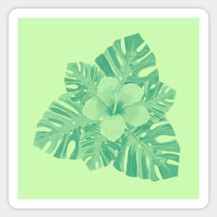 Tropical Green Hibiscus Sticker